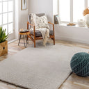 Cloudy Shag CDG-2301 Light Beige Rug