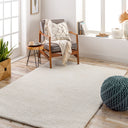 Cloudy Shag CDG-2302 Off-White Rug