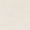 Cloudy Shag CDG-2302 Off-White Rug