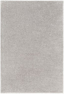 Cloudy Shag CDG-2303 Gray Rug
