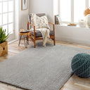 Cloudy Shag CDG-2303 Gray Rug