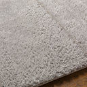 Cloudy Shag CDG-2303 Gray Rug