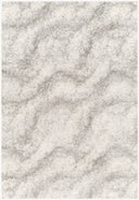 Cloudy Shag CDG-2306 Gray / Off-White Rug