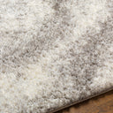 Cloudy Shag CDG-2306 Gray / Off-White Rug