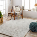 Cloudy Shag CDG-2307 Gray / Off-White Rug