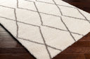 Cloudy Shag CDG-2317 Gray / Off-White Rug