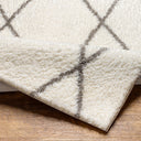 Cloudy Shag CDG-2317 Gray / Off-White Rug