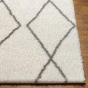 Cloudy Shag CDG-2317 Gray / Off-White Rug