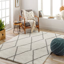Cloudy Shag CDG-2317 Gray / Off-White Rug