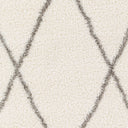 Cloudy Shag CDG-2317 Gray / Off-White Rug