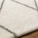 Cloudy Shag CDG-2317 Gray / Off-White Rug