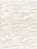 Cloudy Shag CDG-2319 Light Beige / Off-White Rug