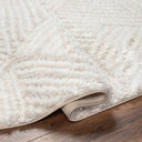 Cloudy Shag CDG-2319 Light Beige / Off-White Rug