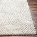 Cloudy Shag CDG-2319 Light Beige / Off-White Rug