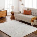 Cloudy Shag CDG-2319 Light Beige / Off-White Rug