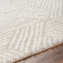 Cloudy Shag CDG-2319 Light Beige / Off-White Rug