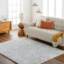 Cloudy Shag CDG-2320 Gray / Off-White Rug