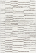 Cloudy Shag CDG-2328 Charcoal / Gray Rug