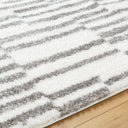 Cloudy Shag CDG-2328 Charcoal / Gray Rug