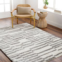 Cloudy Shag CDG-2328 Charcoal / Gray Rug