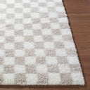 Cloudy Shag CDG-2330 Ivory / Light Beige Rug