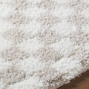 Cloudy Shag CDG-2330 Ivory / Light Beige Rug