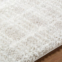 Cloudy Shag CDG-2331 Ivory / Light Beige Rug