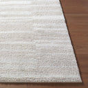 Cloudy Shag CDG-2333 Ivory / Light Beige Rug