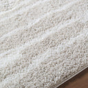 Cloudy Shag CDG-2333 Ivory / Light Beige Rug