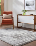 Cloudy Shag CDG-2334 Gray / Ivory Rug
