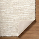 Cloudy Shag CDG-2335 Ivory / Light Beige Rug