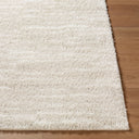 Cloudy Shag CDG-2335 Ivory / Light Beige Rug