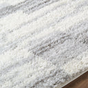 Cloudy Shag CDG-2337 Ivory / Light Beige Rug