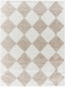 Cloudy Shag CDG-2338 Ivory / Light Beige Rug