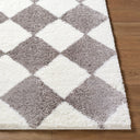 Cloudy Shag CDG-2339 Brown / Ivory Rug