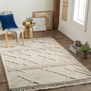 Cadiz CDZ-2303 Cream / Light Beige Rug