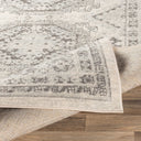 Chester CHE-2309 Charcoal / Light Beige Rug