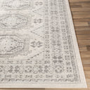 Chester CHE-2309 Charcoal / Light Beige Rug