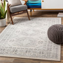 Chester CHE-2309 Charcoal / Light Beige Rug