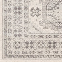 Chester CHE-2309 Charcoal / Light Beige Rug