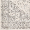 Chester CHE-2312 Charcoal / Light Beige Rug