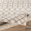 Chester CHE-2319 Charcoal / Light Beige Rug