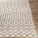 Chester CHE-2319 Charcoal / Light Beige Rug