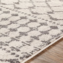 Chester CHE-2319 Charcoal / Light Beige Rug