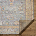 Chennai CHN-2300 Rug