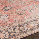 Colin CLN-2301 Black / Blue Rug
