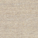 Continental COT-1930 Ivory Rug