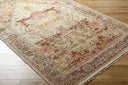 Cappadocia CPP-5021 Burgundy / Gray Rug