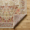 Cappadocia CPP-5021 Burgundy / Gray Rug