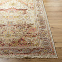 Cappadocia CPP-5021 Burgundy / Gray Rug